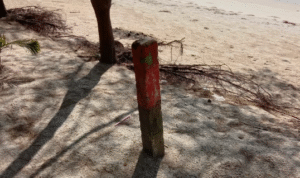 KBOBABEL.COM (Bangka) — Sebuah skandal pertanahan mencoreng kawasan konservasi pantai di Kabupaten Bangka. Tanpa dasar hukum yang sah, sebuah villa permanen berdiri megah di kawasan Pantai Takari, Desa Rebo, Kecamatan Sungailiat. Lokasi ini merupakan kawasan Hutan Lindung sekaligus bagian dari program Hutan Kemasyarakatan (HKM) Takari yang dikelola secara resmi oleh Kelompok Tani Tanjung Karang Lestari, berlandaskan izin dari Kementerian Lingkungan Hidup dan Kehutanan (KLHK). Kamis (18/6/2025)