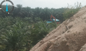 KBOBABEL.COM (Bangka Tengah), – Praktik tambang timah ilegal yang menggila di Dusun Nadi, Kecamatan Lubuk Besar, kian membuka borok pembiaran hukum di Bangka Belitung. Aktivitas tambang ini tak hanya kembali menjebol kawasan hutan lindung yang sempat ditertibkan, tapi kini malah menggandeng alat berat, bahkan oknum militer aktif yang mengaku sebagai pemiliknya. Minggu (22/6/2025).