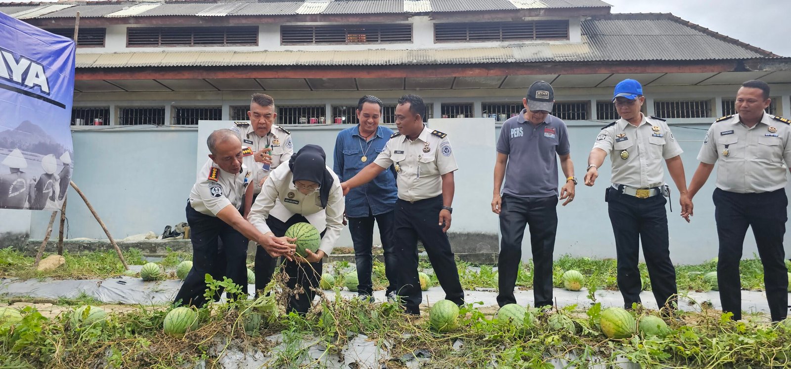 KBOBABEL.COM (PANGKALPINANG) – Di tengah berbagai keterbatasan sarana dan prasarana, Lembaga Pemasyarakatan (Lapas) Kelas IIA Pangkalpinang kembali membuktikan bahwa pembinaan yang terarah mampu menghasilkan karya nyata dan bernilai ekonomi. Melalui program ketahanan pangan yang terus dikembangkan, Lapas Pangkalpinang berhasil memanen sebanyak 231 kilogram semangka dari lahan produktif seluas 160 meter persegi, Senin (8/6/2026).