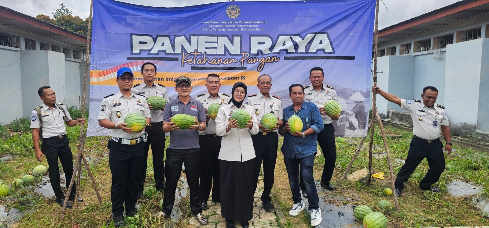 KBOBABEL.COM (PANGKALPINANG) – Di tengah berbagai keterbatasan sarana dan prasarana, Lembaga Pemasyarakatan (Lapas) Kelas IIA Pangkalpinang kembali membuktikan bahwa pembinaan yang terarah mampu menghasilkan karya nyata dan bernilai ekonomi. Melalui program ketahanan pangan yang terus dikembangkan, Lapas Pangkalpinang berhasil memanen sebanyak 231 kilogram semangka dari lahan produktif seluas 160 meter persegi, Senin (8/6/2026).
