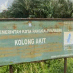 600 Meter dari Jalan Umum, Tambang Ilegal Kolong Akit Tantang Ketegasan Aparat dan Pemkot