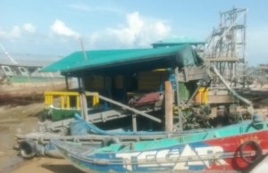 Cukong Pasir Timah Ilegal Menang Banyak, PT Timah Tbk Dinilai Setengah Hati Tindak Tambang Ilegal di Sukadamai