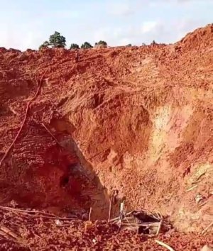 Hutan Produksi Rusak Parah, Tambang Ilegal di Dusun Bokor Ganggu Akses Warga ke Kebun