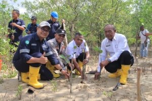 PT Timah Tanam 2.500 Bibit Mangrove di Karimun, Komitmen Pelestarian Lingkungan Berkelanjutan