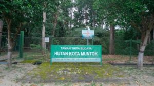 Hutan Kota Mentok, PT Timah Wujudkan Pelestarian Flora Fauna Endemik dan Konservasi Alam