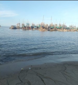 Ponton Siluman Merajalela di Puri Ansell, Penambang Resmi Gigit Jari