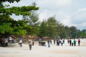 Aksi Bersih Pantai dan Penanaman Pohon, PT Timah Bersama Pokdarwis Rambak Rayakan Hari Lingkungan Hidup