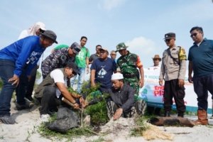 PT Timah Tanam Pohon di Wisata Batu Tunggal, Dukung Pariwisata Berkelanjutan dan Pelestarian Lingkungan