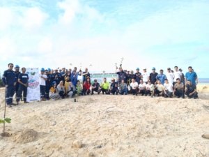 PT Timah Hijaukan Eks Tambang dengan Tanam Ratusan Pohon di Bangka Barat