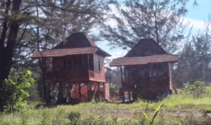 KBOBABEL.COM (Bangka) — Sebuah skandal pertanahan mencoreng kawasan konservasi pantai di Kabupaten Bangka. Tanpa dasar hukum yang sah, sebuah villa permanen berdiri megah di kawasan Pantai Takari, Desa Rebo, Kecamatan Sungailiat. Lokasi ini merupakan kawasan Hutan Lindung sekaligus bagian dari program Hutan Kemasyarakatan (HKM) Takari yang dikelola secara resmi oleh Kelompok Tani Tanjung Karang Lestari, berlandaskan izin dari Kementerian Lingkungan Hidup dan Kehutanan (KLHK). Kamis (18/6/2025)