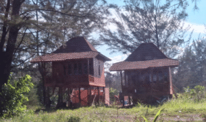 KBOBABEL.COM (Bangka) — Sebuah skandal pertanahan mencoreng kawasan konservasi pantai di Kabupaten Bangka. Tanpa dasar hukum yang sah, sebuah villa permanen berdiri megah di kawasan Pantai Takari, Desa Rebo, Kecamatan Sungailiat. Lokasi ini merupakan kawasan Hutan Lindung sekaligus bagian dari program Hutan Kemasyarakatan (HKM) Takari yang dikelola secara resmi oleh Kelompok Tani Tanjung Karang Lestari, berlandaskan izin dari Kementerian Lingkungan Hidup dan Kehutanan (KLHK). Kamis (18/6/2025)