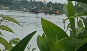 KBOBABEL.COM (Koba-Bangka Tengah)  – Setelah lama sunyi, suara dentuman mesin Ponton Isap Produksi (PIP) jenis Ti Tower kembali mengoyak ketenangan kolong Marbuk dan Kenari, eks lokasi tambang PT Kobatin di Bangka Tengah. Pada Kamis pagi (18/6), terpantau sedikitnya enam unit PIP Ti Apung melakukan aktivitas penambangan tanpa izin di wilayah yang berada dalam konsesi Izin Usaha Pertambangan (IUP) PT Timah Tbk, yang saat ini perizinannya masih dalam proses eksploitasi di Kementerian ESDM RI.