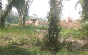 Oknum TNI Bekingi Tambang Ilegal di Hutan Lindung Dusun Nadi : Negara Diam, Hukum Dipermainkan