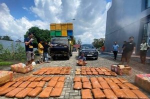 Modus Paket Kopi, Pria 32 Tahun Kawal Ganja 85 Kg Terancam Penjara Seumur Hidup