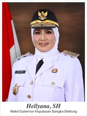 Gelar SH Bermasalah, Wagub Babel Hellyana Dikeluarkan dari Program S2 Institut Pahlawan 12