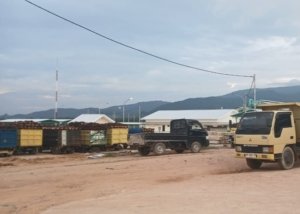 Kades Perlang Geram: Warga Lokal Dipersulit Jual Sawit ke PT Perlang Sawitindo Mas