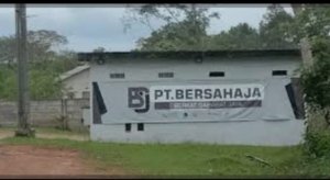 Praktik Abu-Abu di Balik SPK PT Timah: Ratusan Ton Zirkon Mengendap, Siapa yang Bermain?