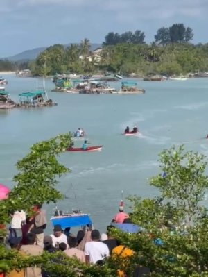 PT Timah Dukung Lomba Dayung dan Penanaman Mangrove Bersama HNSI Bangka untuk Lestarikan Lingkungan dan Budaya Pesisir