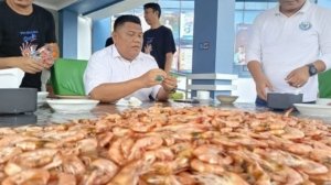 Udang Babel Dapat Restu Ekspor ke Arab Saudi, Peluang Ekonomi Kian Terbuka