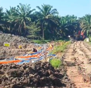 Warga Kecewa, PT Timah Dituding Biarkan Mitra Nambang Tanpa SPK di Lahan HGU PT GML