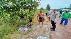 Aksi Heroik Gagal Selamatkan Kakek, Buaya Seret Korban ke Sungai di Bangka Selatan