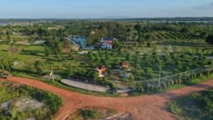 PT Timah Hijaukan 75 Hektar Lahan Pascatambang Lewat Program Reklamasi Darat
