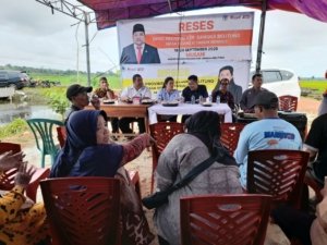 Petani Mengadu ke DPRD, Sawah di Serdang Tergusur Perkebunan Sawit