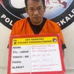 KBOBABEL.COM (Pangkalpinang) – Satuan Reserse Narkoba Polresta Pangkalpinang kembali menunjukkan taringnya dalam memberantas peredaran narkotika di wilayah hukumnya. Rabu (24/9/2025).