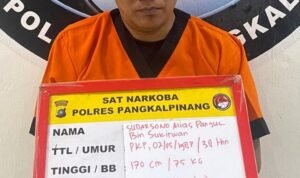 KBOBABEL.COM (Pangkalpinang) – Satuan Reserse Narkoba Polresta Pangkalpinang kembali menunjukkan taringnya dalam memberantas peredaran narkotika di wilayah hukumnya. Rabu (24/9/2025).