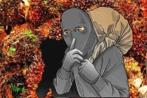 Kepergok Curi Sawit 1,1 Ton, Pria di Bangka Barat Ditangkap Polisi