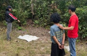 Ketahuan Warga! Dua Pencuri Sawit di Bangka Barat Ditangkap, Satu Masih Bocah