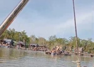 Tambang Ilegal Ancam DAS dan Mangrove Jada Bahrin, Diduga Dibekingi Oknum TNI
