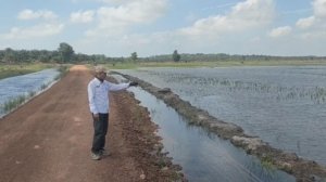 117 Hektar Sawah di Bangka Selatan Terendam Banjir, Petani Gagal Panen Sejak 2014