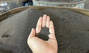 01k3g4qktwgh07x17zt3g35z3h