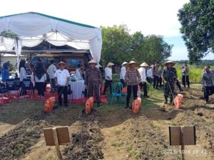 Pemkab dan Polres Bangka Barat Bersinergi Tanam Jagung Serentak, Wujudkan Daerah Mandiri Pangan