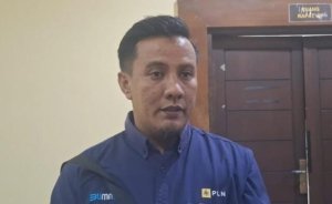 PLN Ingatkan Bahaya Tambang Liar di Merbuk: Ganggu Pondasi Tower, Listrik Dua Kabupaten Bisa Padam