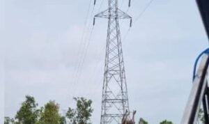 WhatsApp-Image-2025-02-11-at-13.25.31-e1739255483751