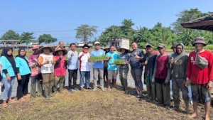 Wujudkan Ketahan Pangan, YBBN Gelar Giat Penanaman Benih Padi Unggul PS-08 di Hamparan Sawah Carita