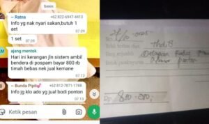 WhatsApp Image 2025-10-29 at 09.17.33