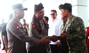 WhatsApp Image 2025-10-31 at 12.40.28