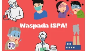 01ja31pdwy6a125pw0xs06wevz