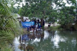 PT TIMAH Tbk Ubah Kolong Eks Tambang Jadi Ekosistem Produktif, Tebar Ribuan Ikan Endemik di Bangka Tengah