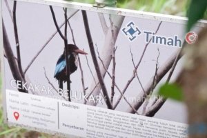 PT TIMAH Tbk Bersama PPS Alobi Rawat Satwa Liar dan Kembalikan ke Alam Bebas