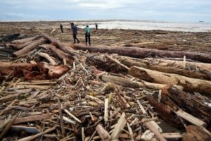 DPR Curiga Ada Kerusakan Lingkungan di Balik Banjir Sumatera, Pemerintah Didesak Investigasi