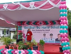 Pemkot Pangkalpinang Gencarkan Gerakan Ibu Hamil Sehat untuk Tekan Angka Kematian Ibu dan Bayi