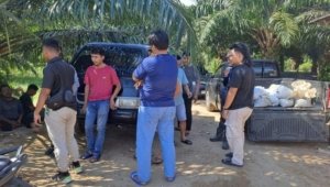 Polres Bangka Barat Klarifikasi Isu Penangkapan Taycoi, Tegaskan Fokus pada Penyelidikan Timah Ilegal