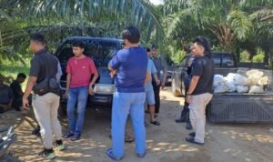 WhatsApp-Image-2025-11-02-at-15.24.43-1-e1762072608294