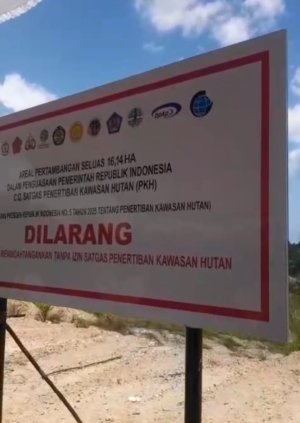 Satgas PKH Segel 6 Tambang Pasir Kuarsa di Lubukbesar, Diduga Beroperasi di Luar Izin dan Tak Bayar Pajak