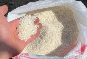 Stok CBPD Pangkalpinang Tersisa 18 Ton, Penyaluran Menunggu Arahan Wali Kota