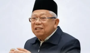 01kat3f2fjkqzpzp8w0y9g2bps